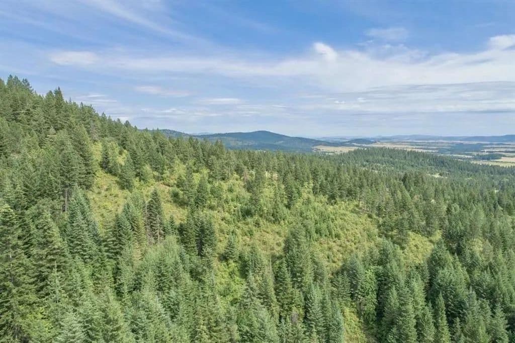 Property from 11507 S Alpine Fern Ln - KW - Rockford, Washington, 99030