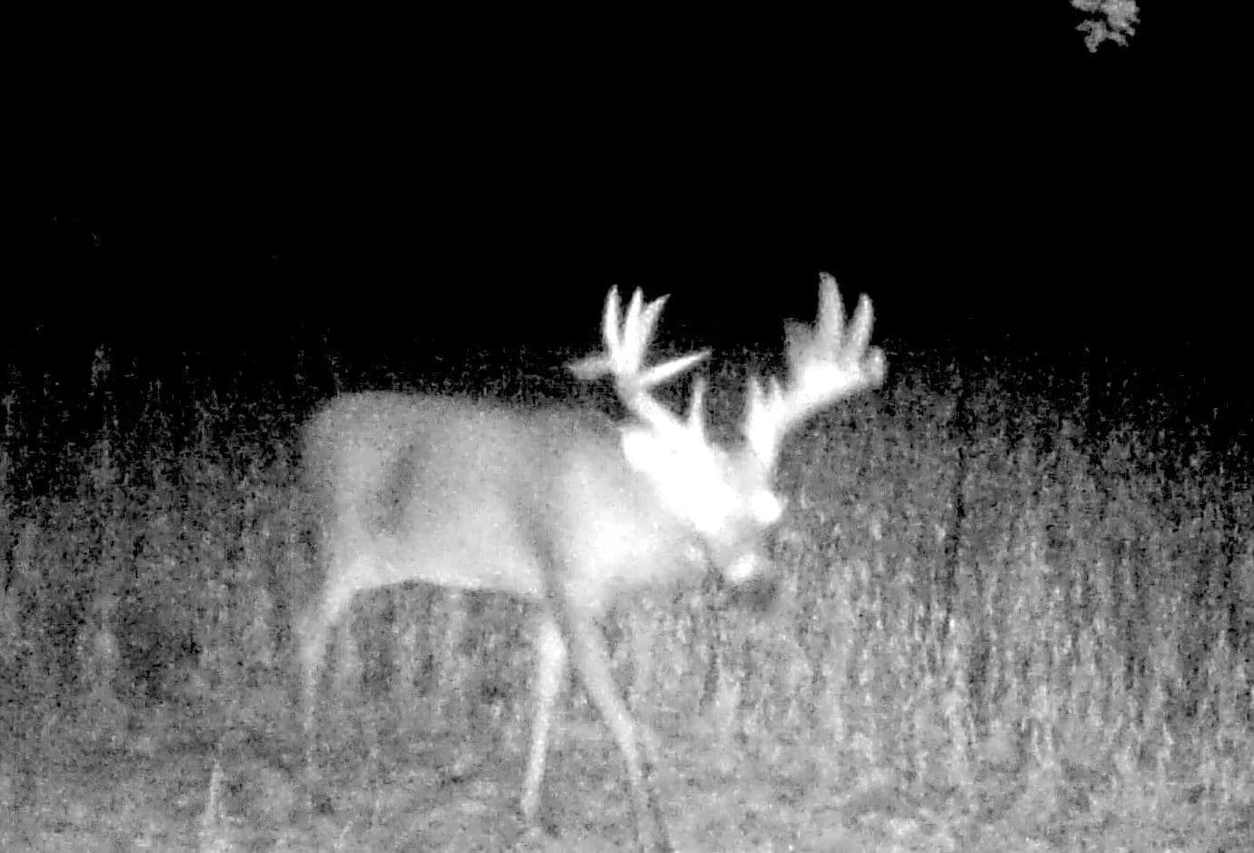 17±-Acre Farm with CRP Income and Potential Build Sites – Macoupin County - Shipman, Illinois, 62685