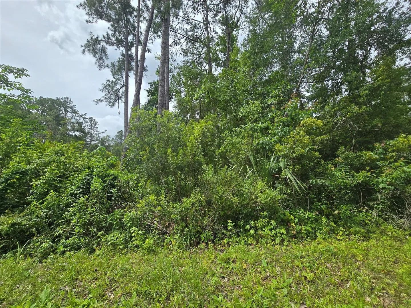 Property from 320 SEQUOIA DRIVE - KW - Ocklawaha, Florida, 32179