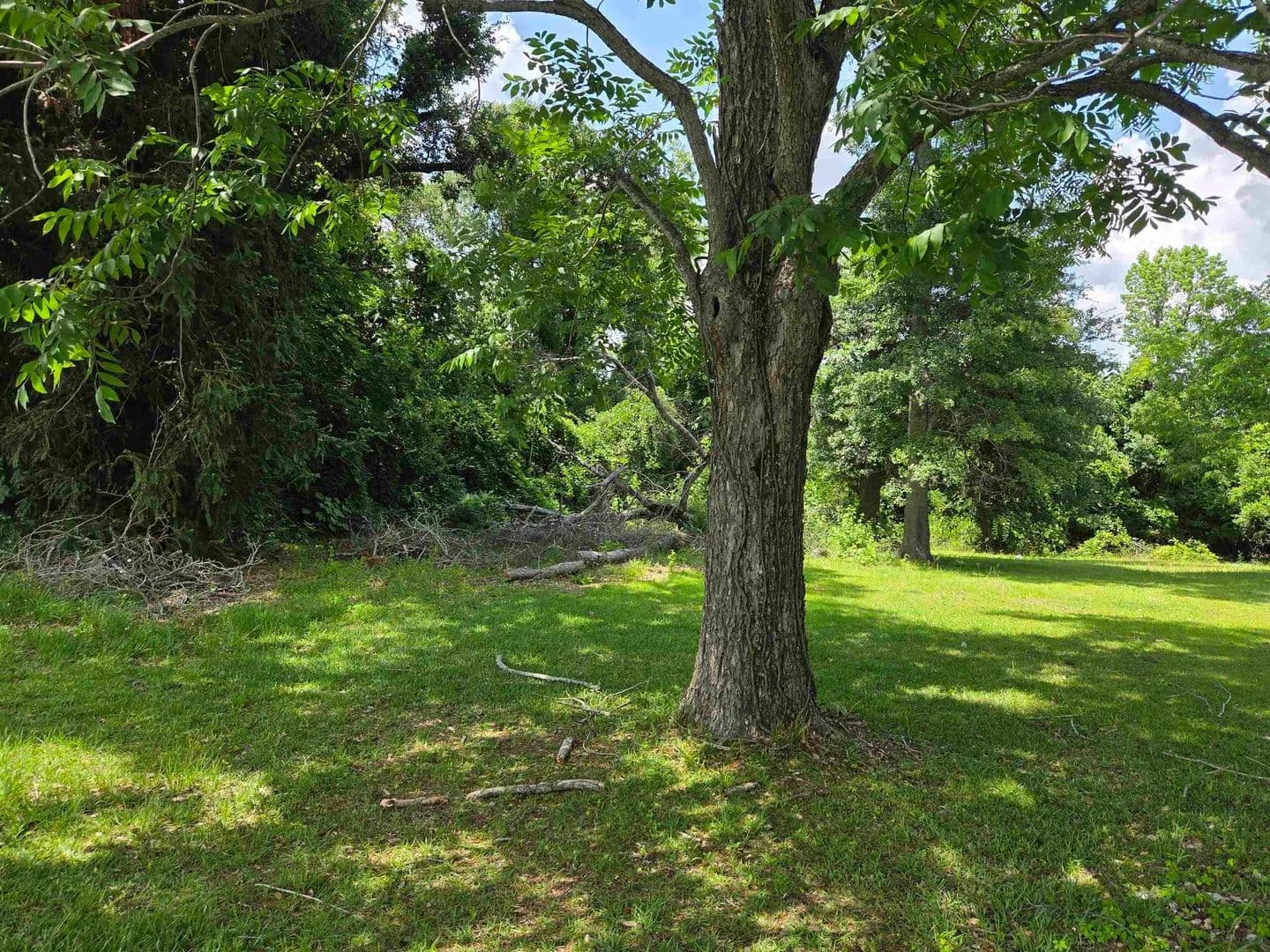 Property from xxx Baltzell Street - KW - Marianna, Florida, 32446