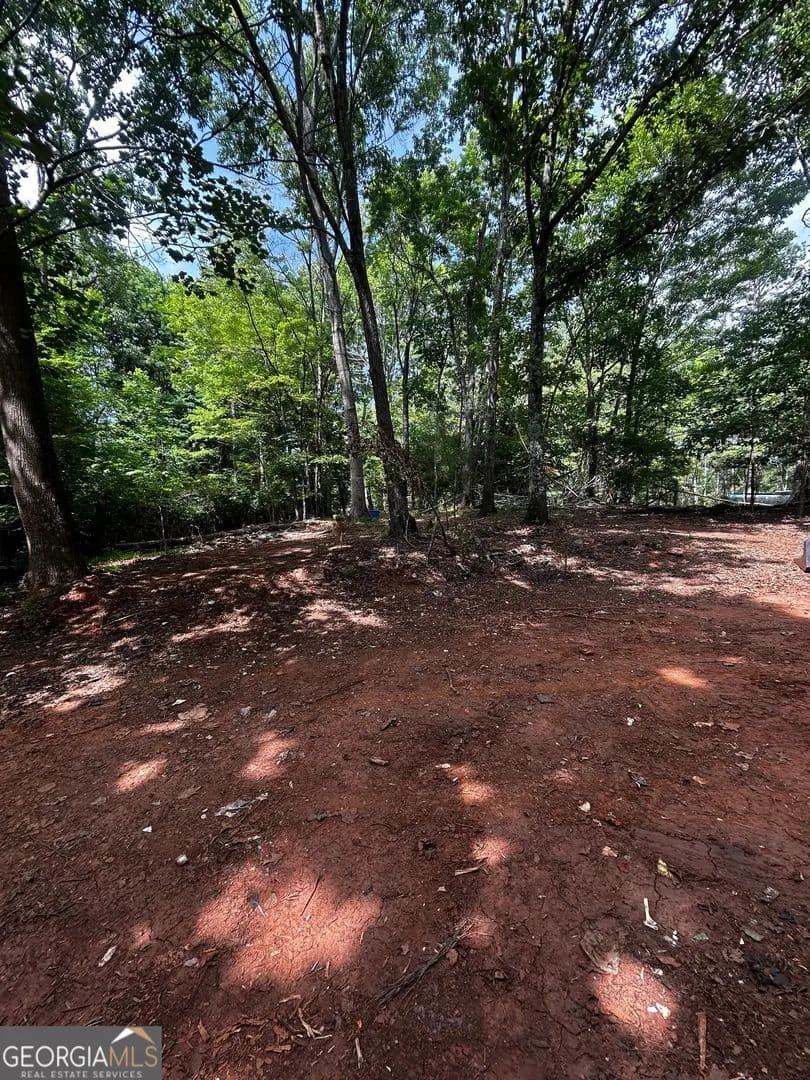 7.98 Acres of Land for Sale in Ball Ground, GA - Ball Ground, Georgia, 30107