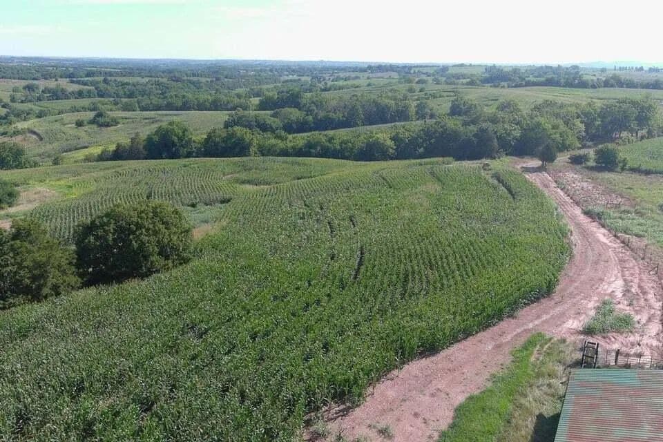 Land -Agricultural (Not Zoned) in Stanford - Stanford, Kentucky, 40484