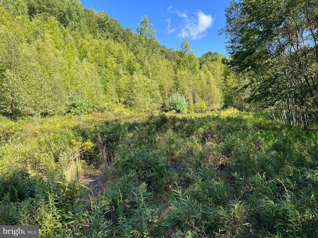 12.1 Acres of Land for Sale in EFFORT, PA - Effort, Pennsylvania, 18330