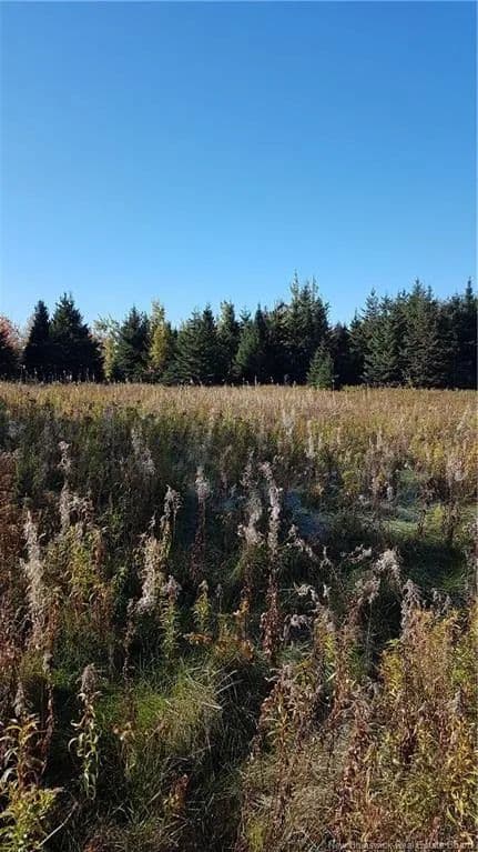 Land for Sale in McIntosh Hill, NB - land for sale