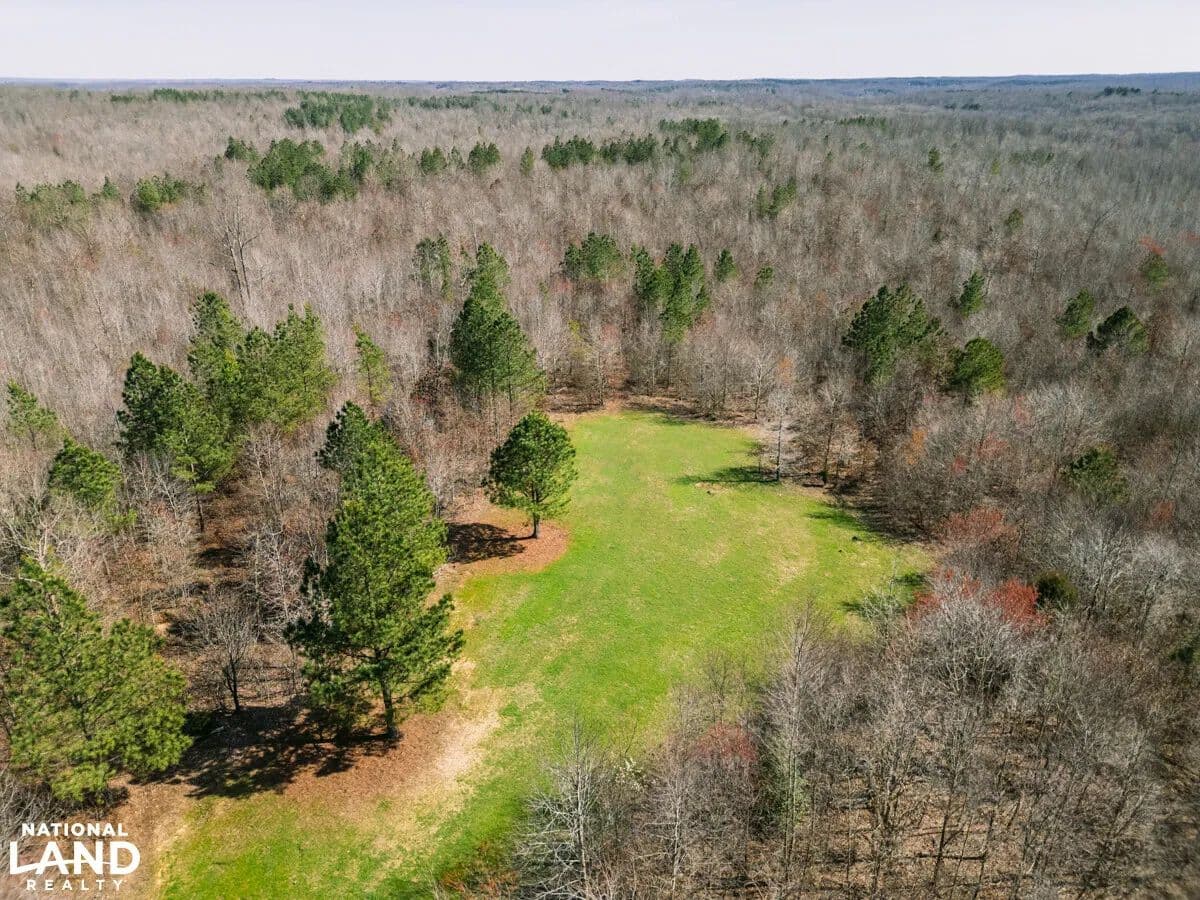 Big Sandy Hunting Tract - Big Sandy, Tennessee, 38221