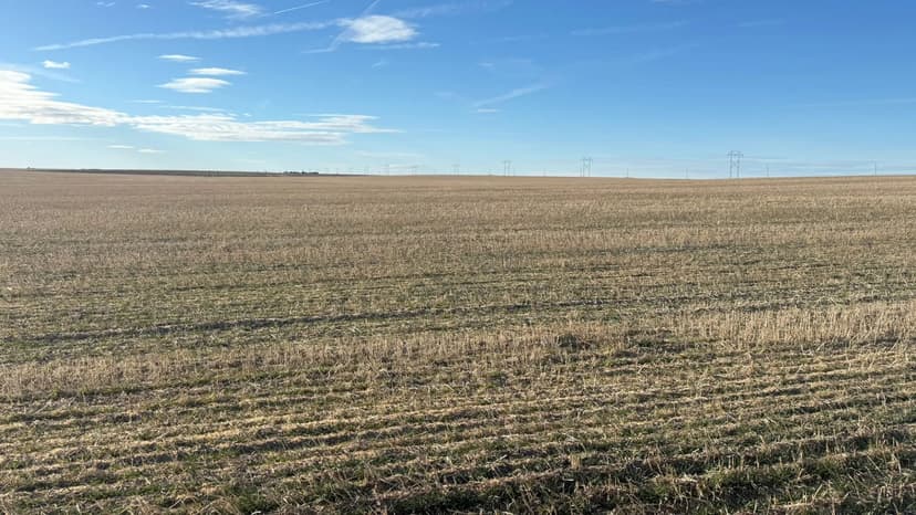 Platner North Land Auction