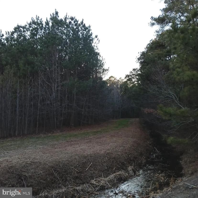 Land -Agricultural (Not Zoned) in Eden