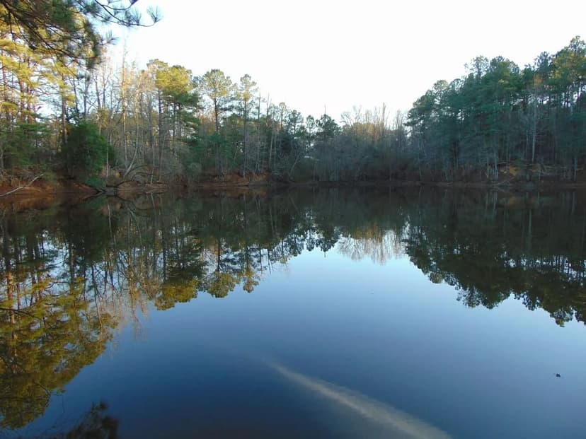 24 Acres in Brookhaven, Ms
