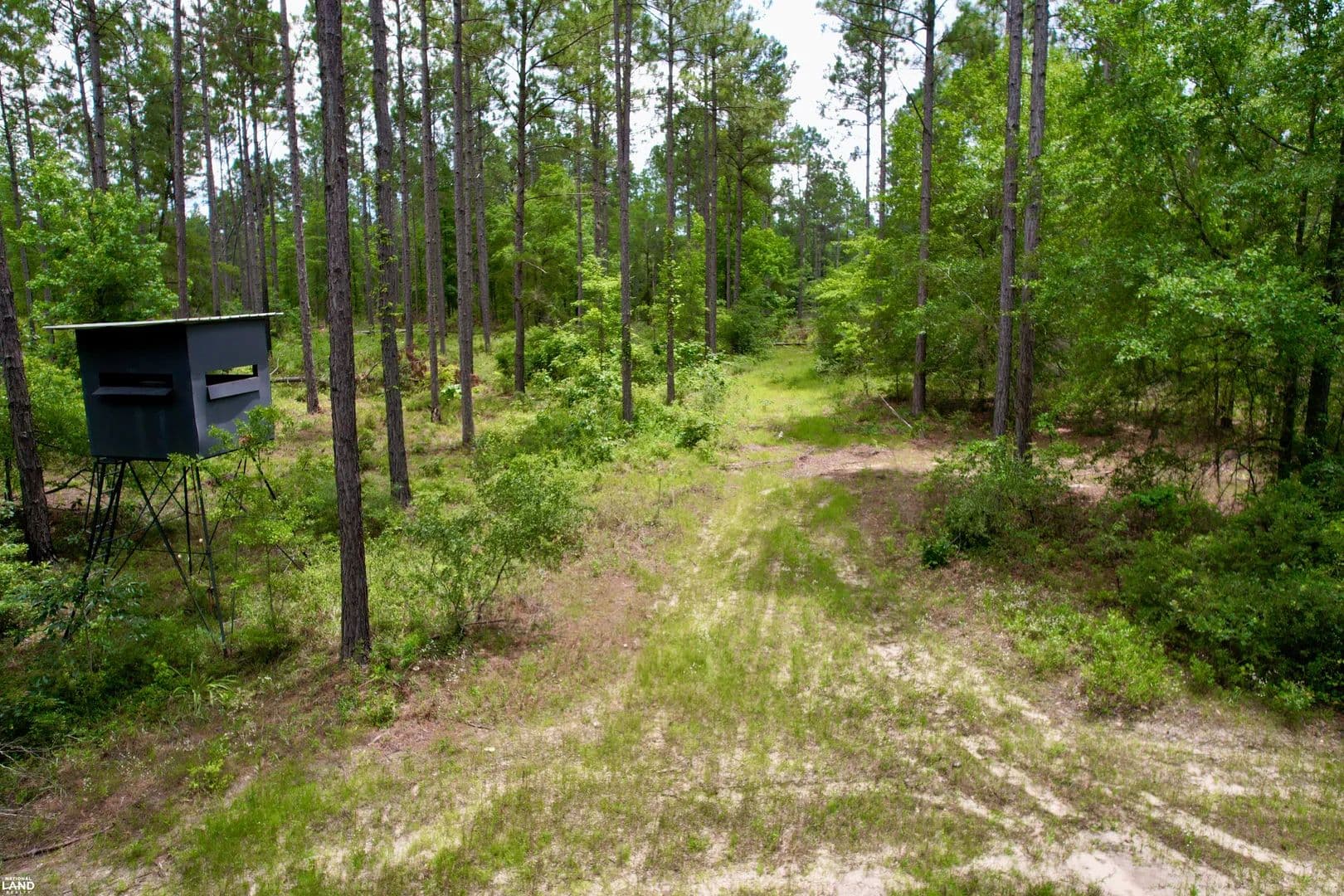 Big Pine Recreational Homesite - Eastman, Georgia, 31023