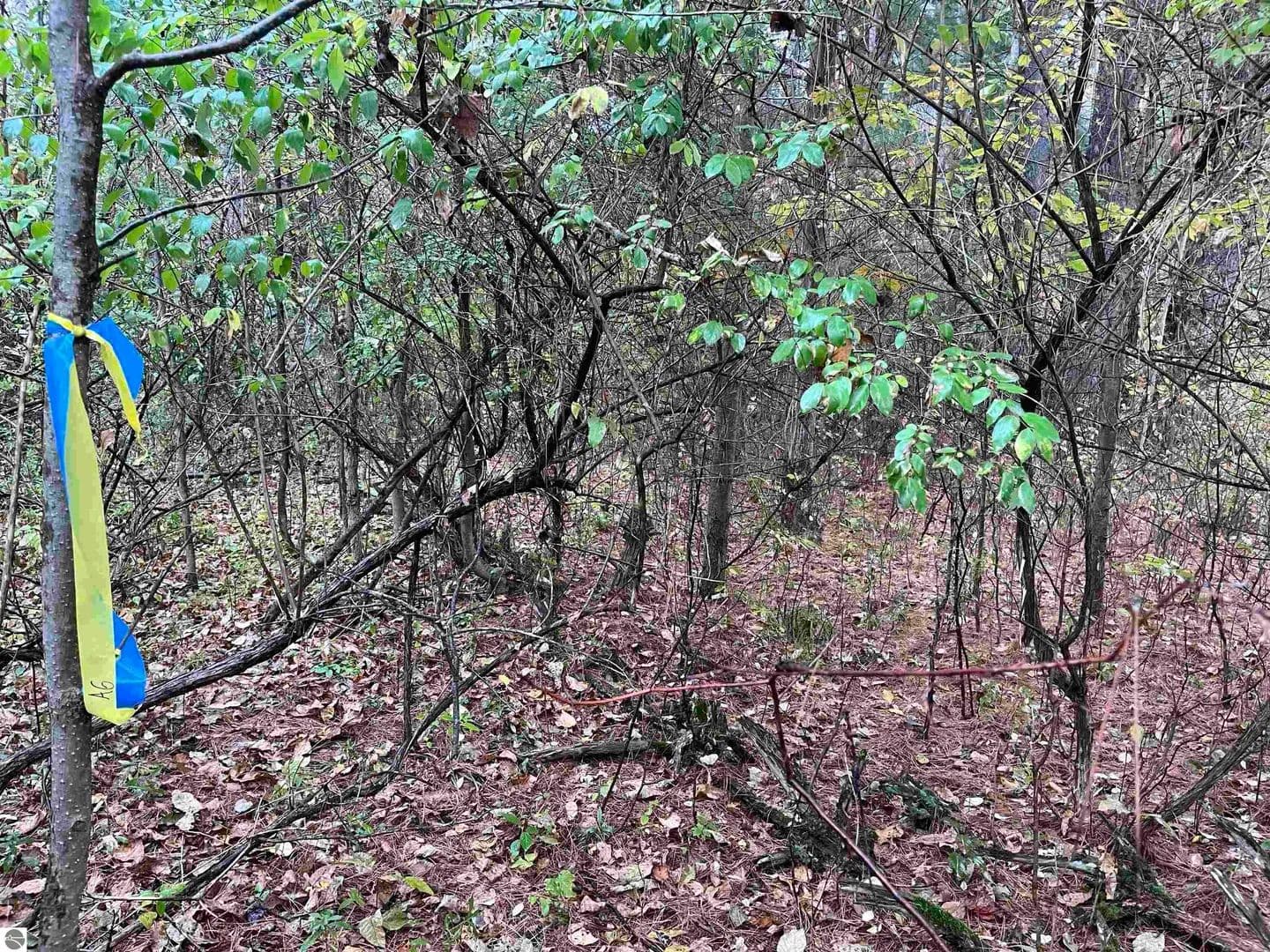 Vacant Land in Tawas City - land for sale