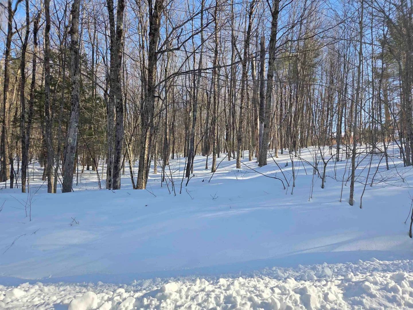 Property from 164 Lot 18-2 Mason Road - KW - Milton, New Hampshire, 3851