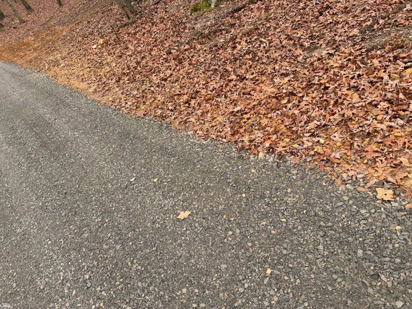 0 Highway 50 East Lot 2 - Centerville, Tennessee, 37033