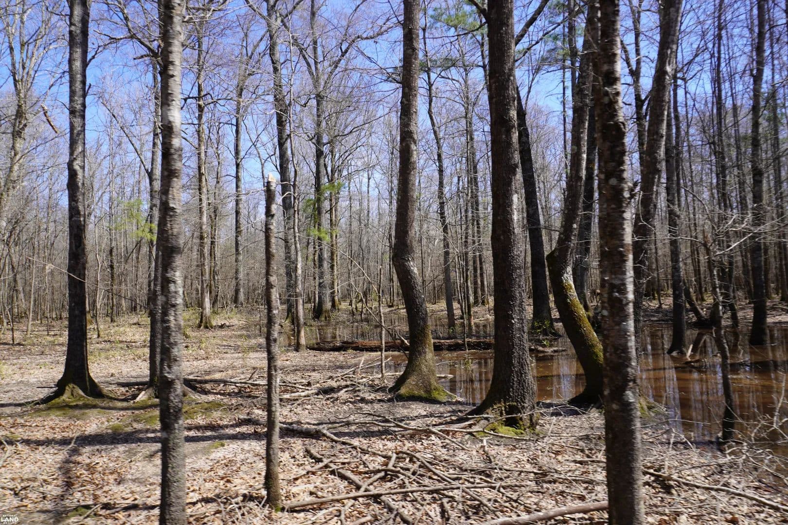 Ivan Central Tract - 503+/- Acres - Fordyce, Arkansas, 71742