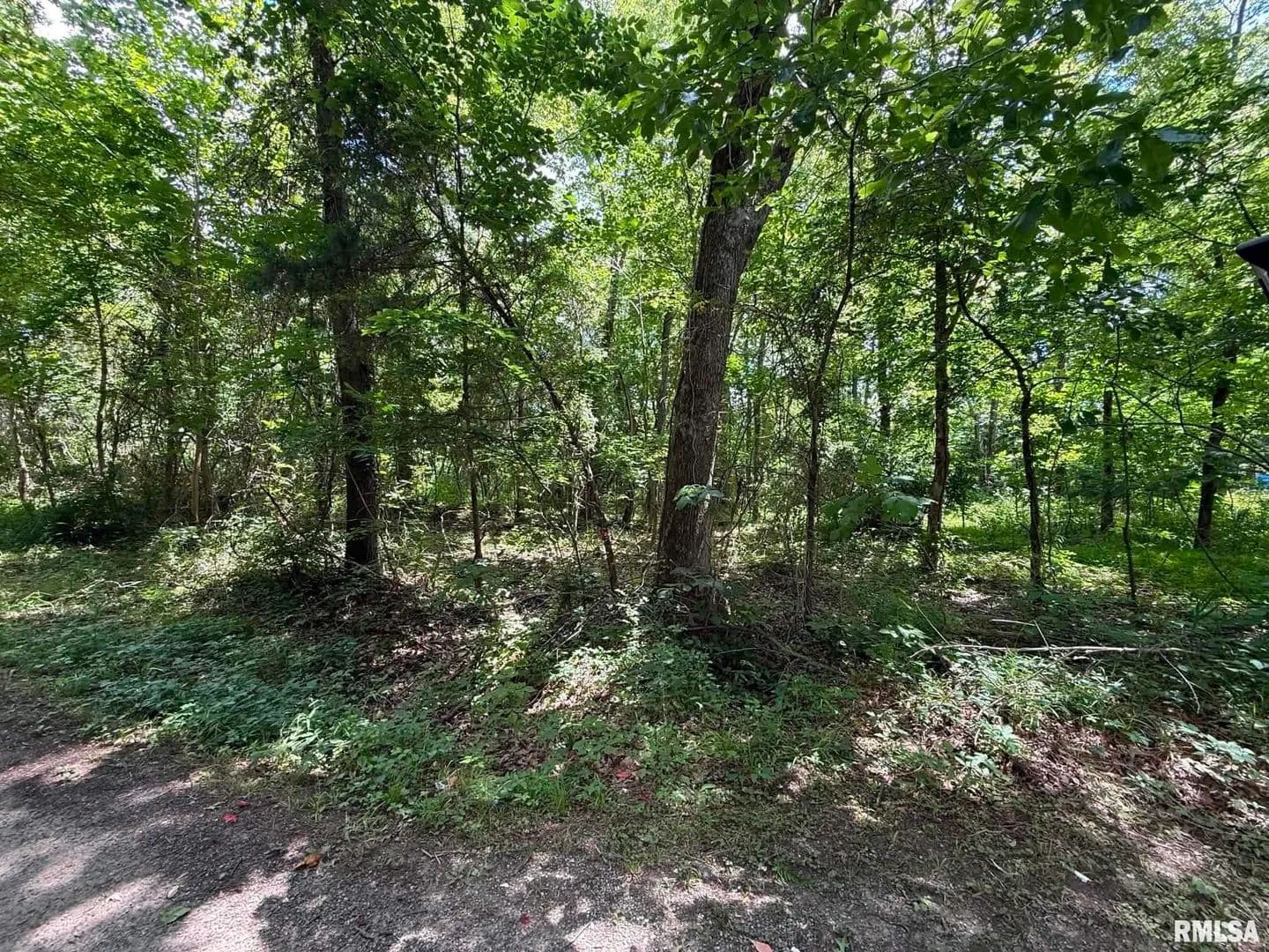 Land for Sale in Colp, Illinois - Colp, Illinois, 62918