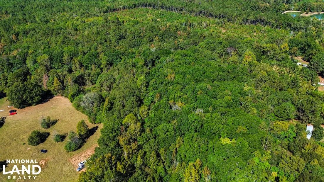 Doe Run Road Home Site and Hunting Tract - Selma, Alabama, 36701
