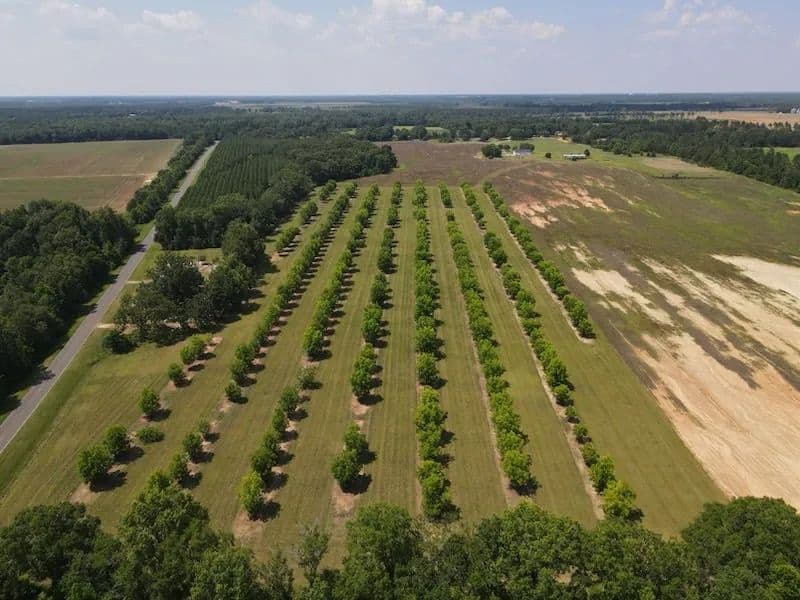 Terrell 53 - Dawson, Georgia, 39842
