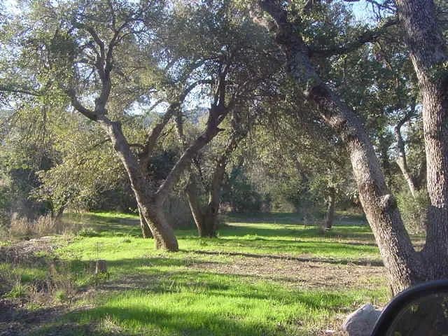 Property from 52975 E HARPER E parcel E Road #1 - KW - Miami, Arizona, 85539