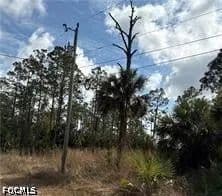 Property from 1242 Creary Street E - KW - Lehigh Acres, Florida, 33974