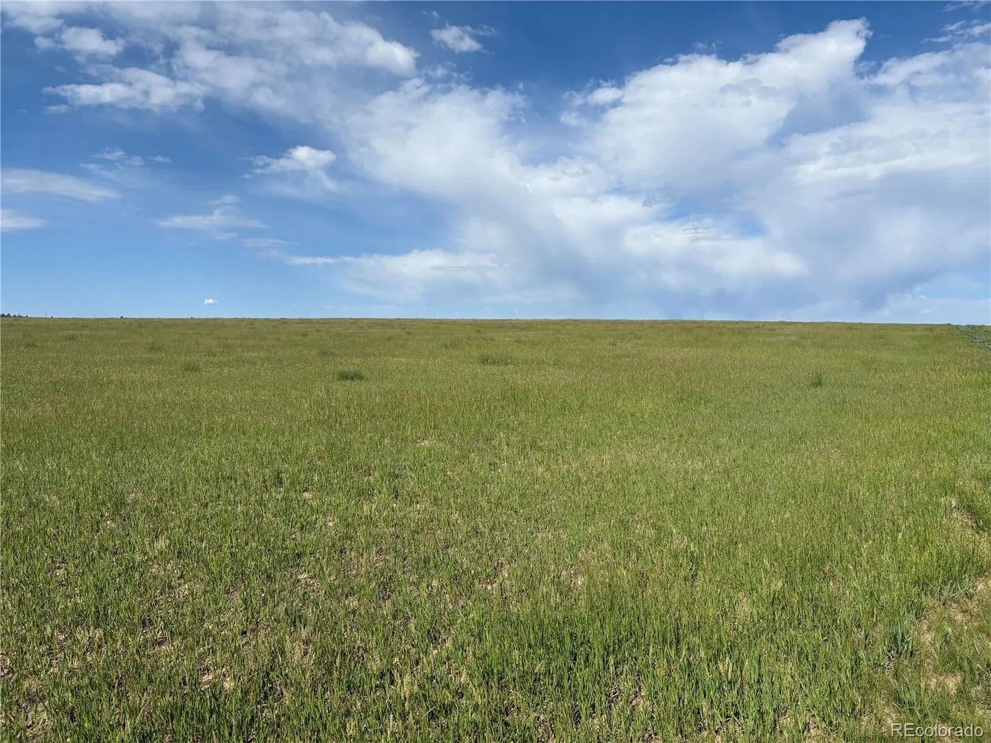 Property from Parcel 4 County Road 33 - KW - Elbert, Colorado, 80106