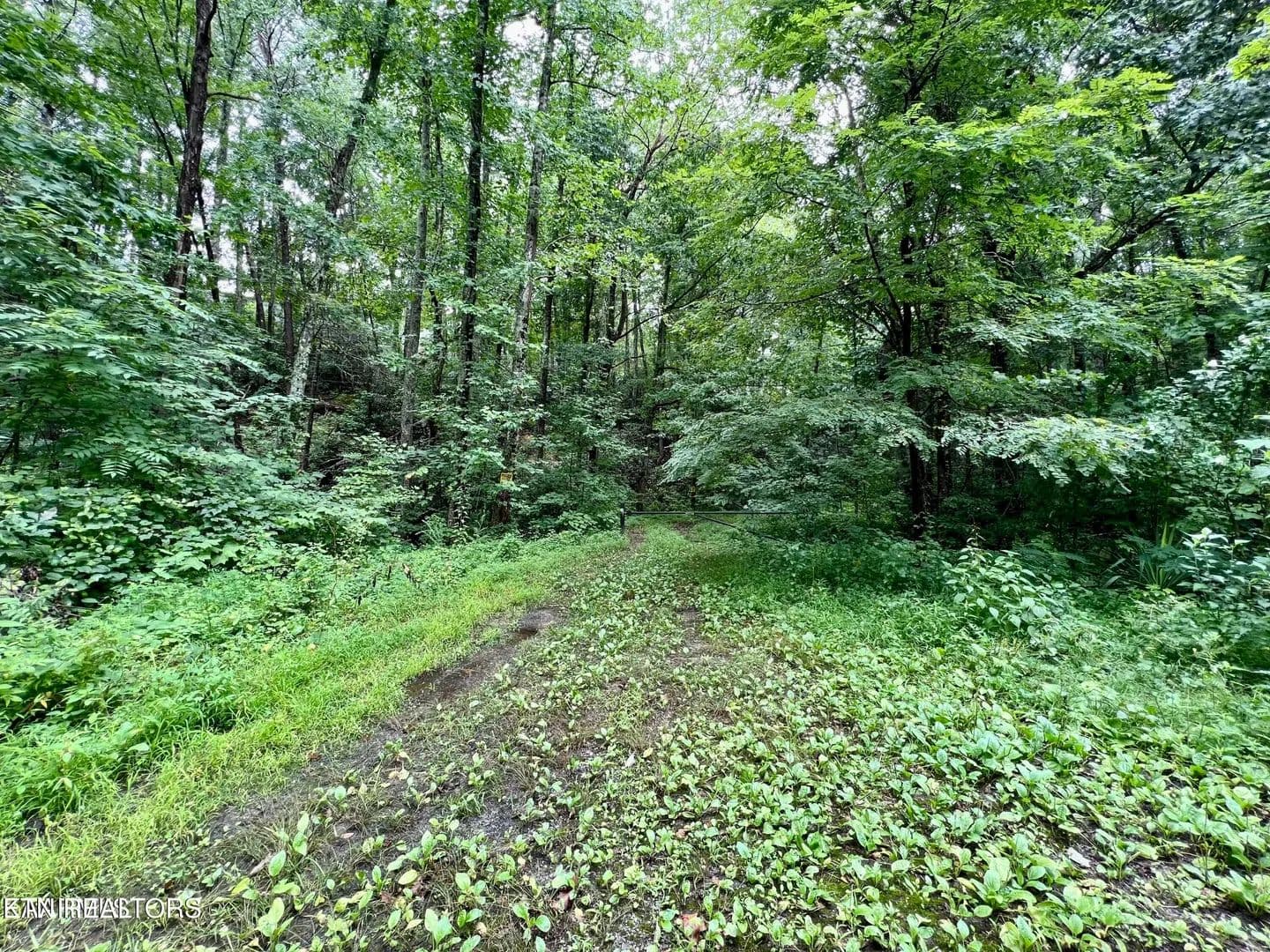 0.38 Acres of Land for Sale in Sevierville, Tennessee - Sevierville, Tennessee, 37876