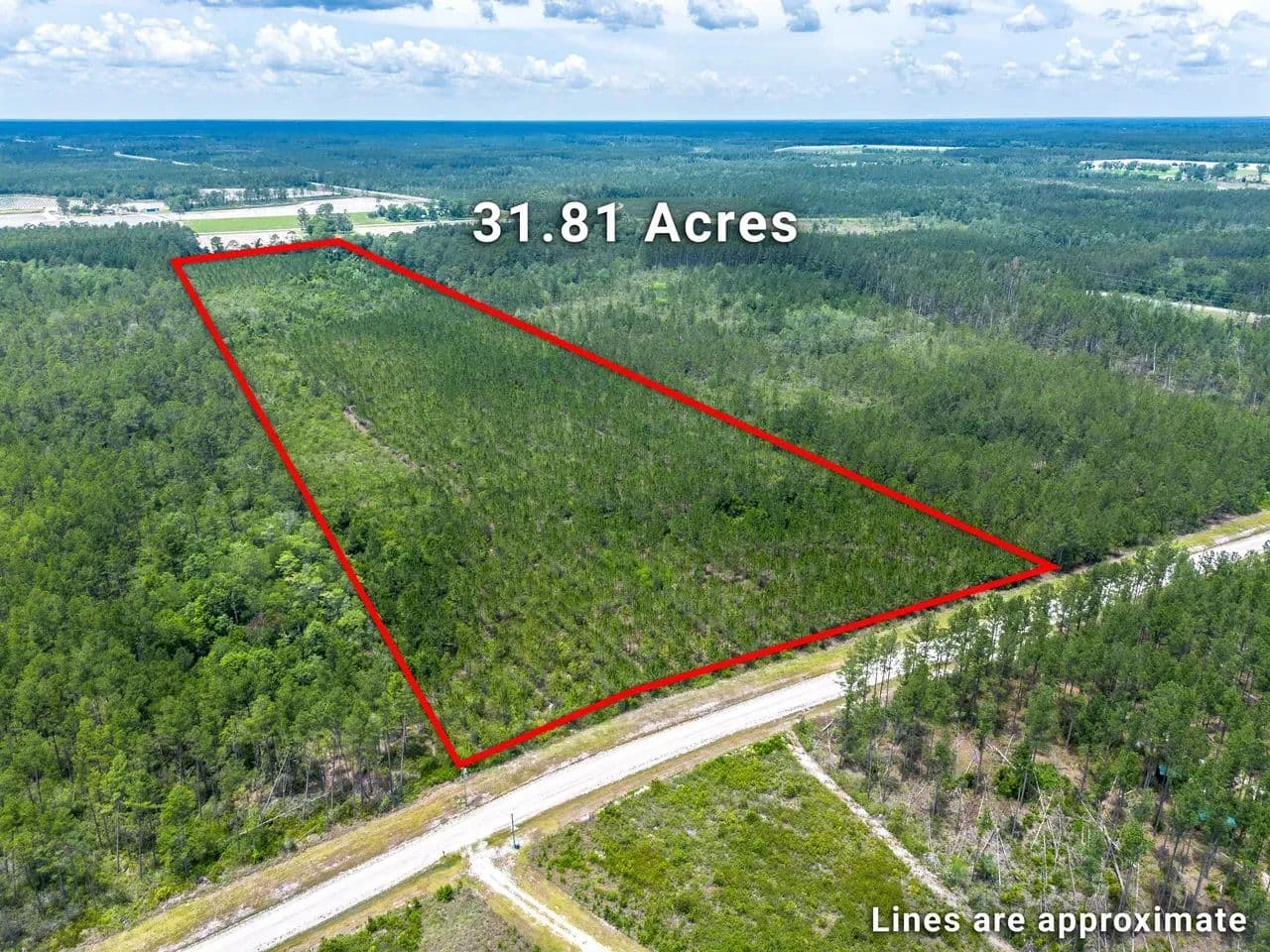 31.81 +/- Acres Recreational Land for Sale in Ware County, GA - Manor, Georgia, 31550