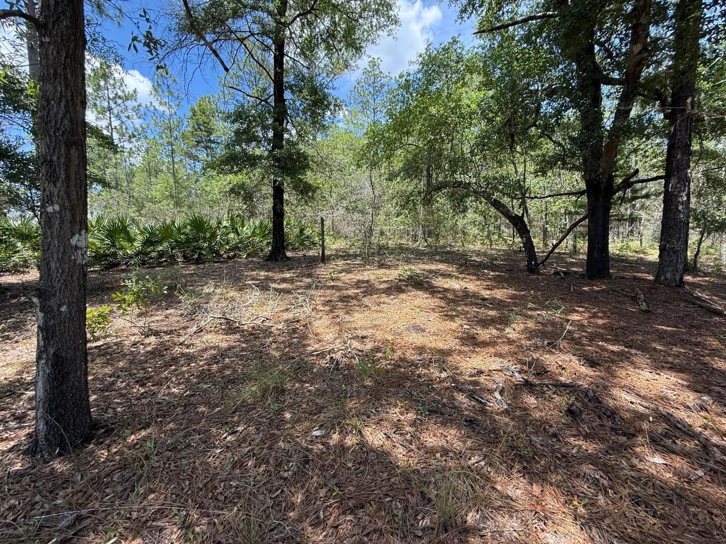 Vacant Land in DeFuniak Springs - land for sale