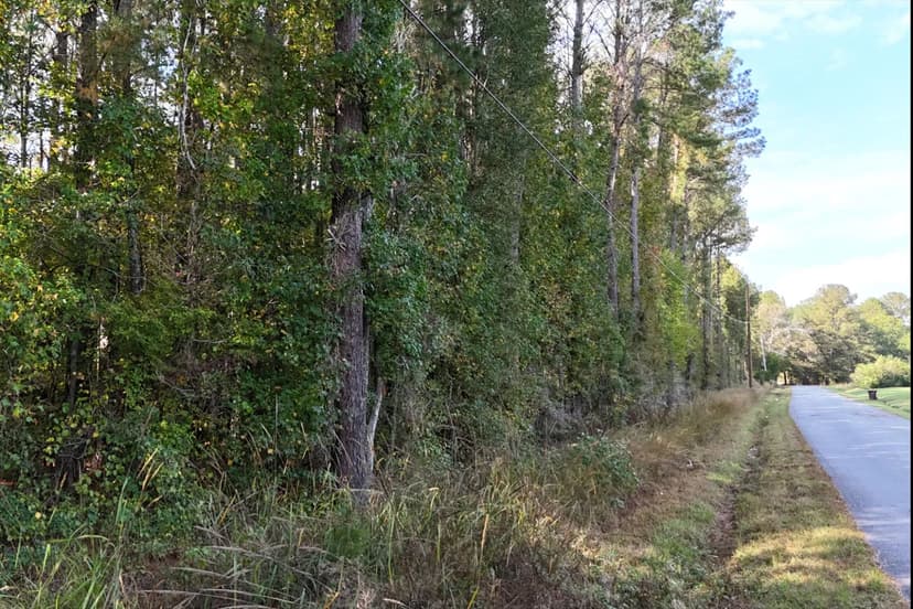 4 Acre Homesite in Simpson County in Braxton, MS