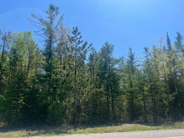 Land for Sale in Presque Isle, Michigan - Presque Isle, Michigan, 49777