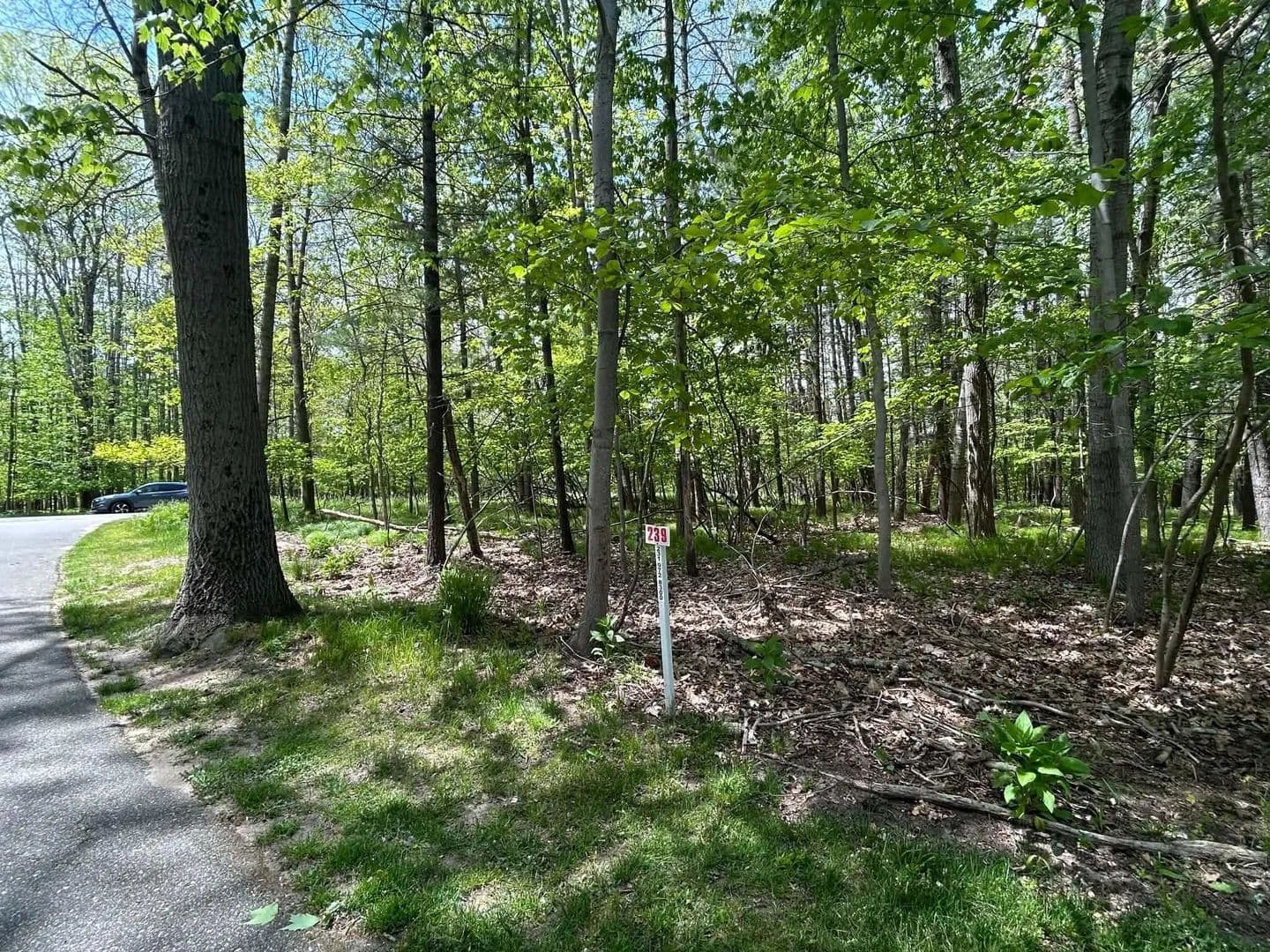 Lots & Land-Other in Canadian Lakes - Canadian Lakes, Michigan, 49346