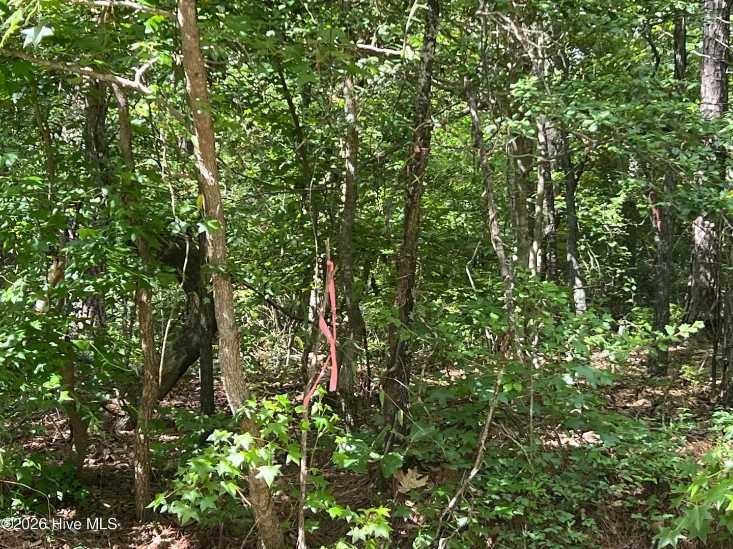 Property from 747 Sandspur Drive - KW - Vass, North Carolina, 28394