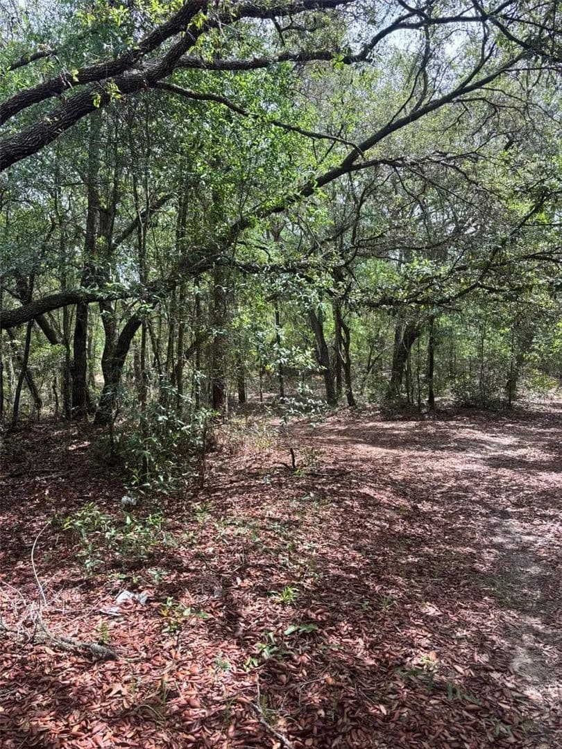 Property from 83RD LANE - KW - Bronson, Florida, 32621