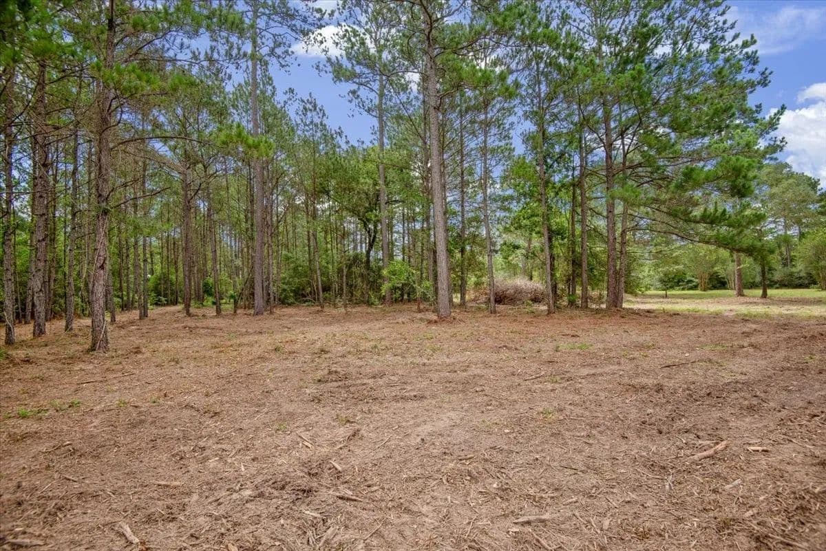41.46 Acres of Land for Sale in Navasota, Texas - Navasota, Texas, 77868