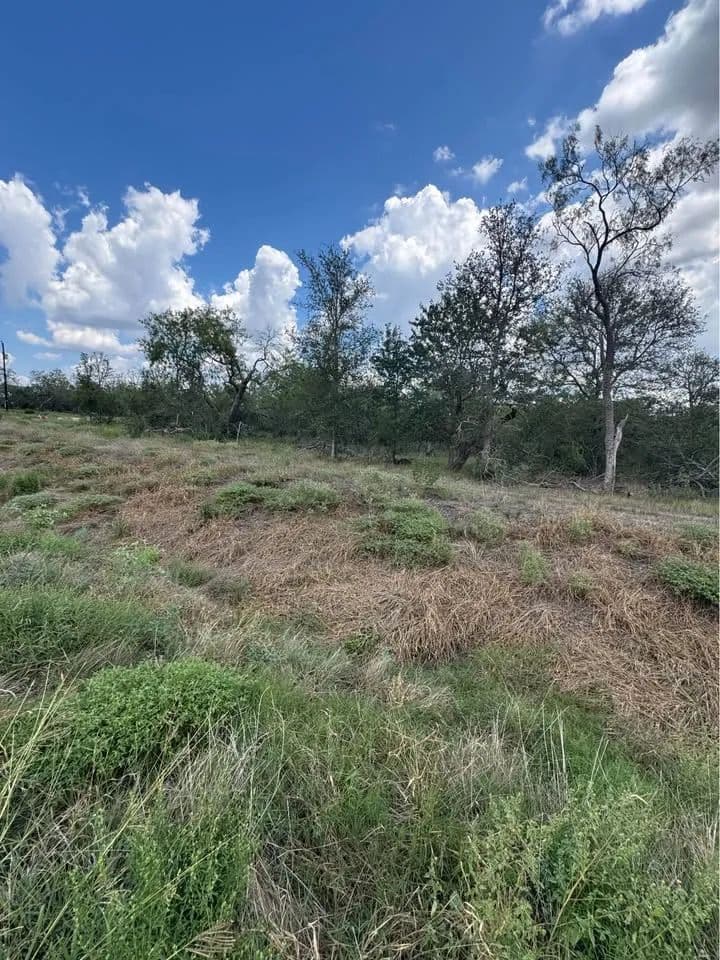 1.01 Acres of Land for Sale in Lockhart, Texas - Lockhart, Texas, 78644