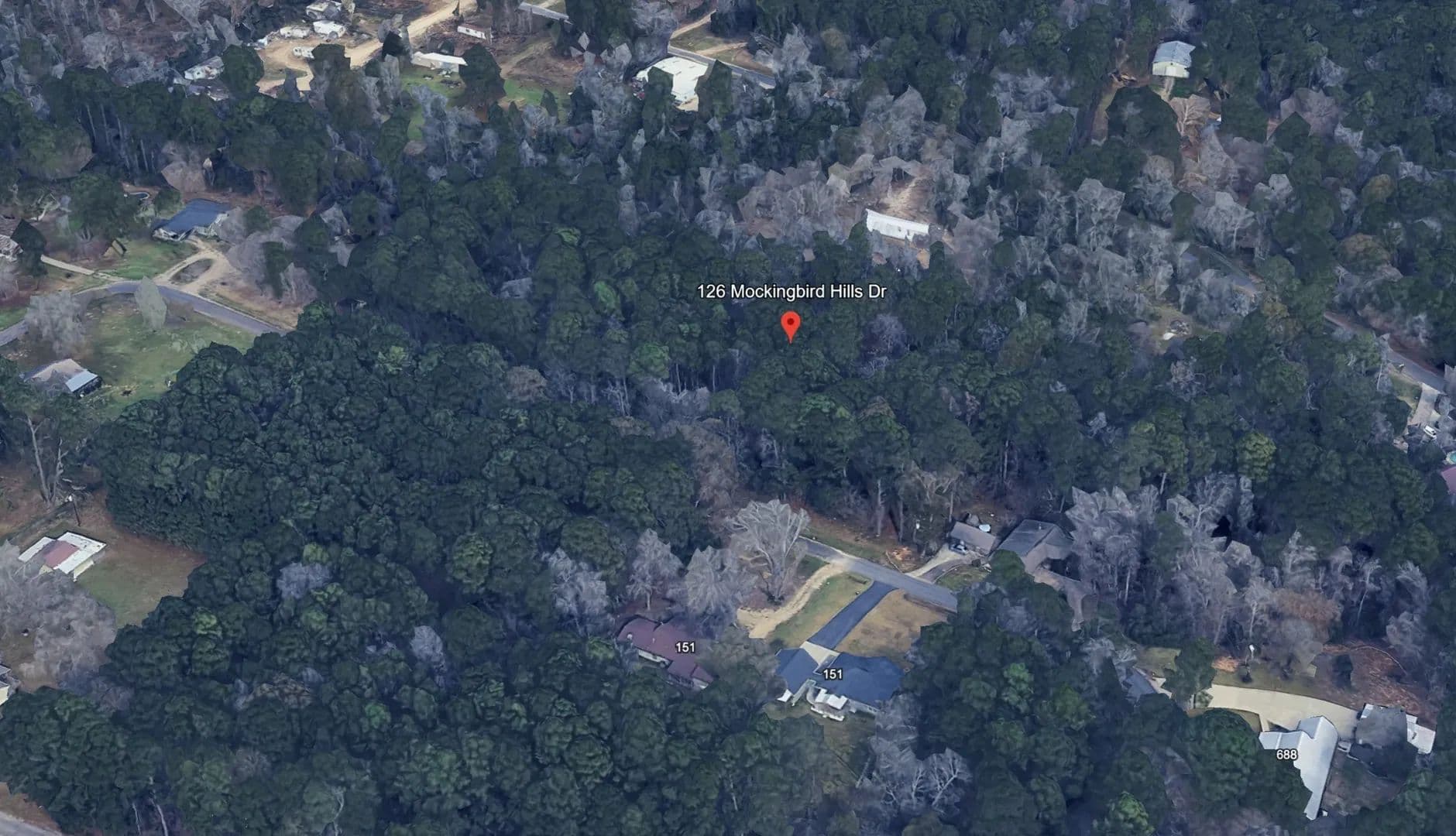 1.47 Acres of Land for Sale in Livingston, Texas - Livingston, Texas, 77351