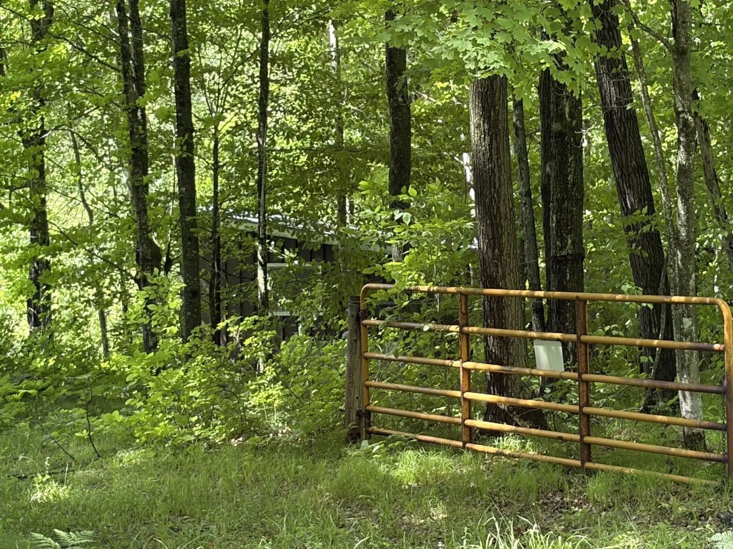 Vacant Land in Exeland - land for sale