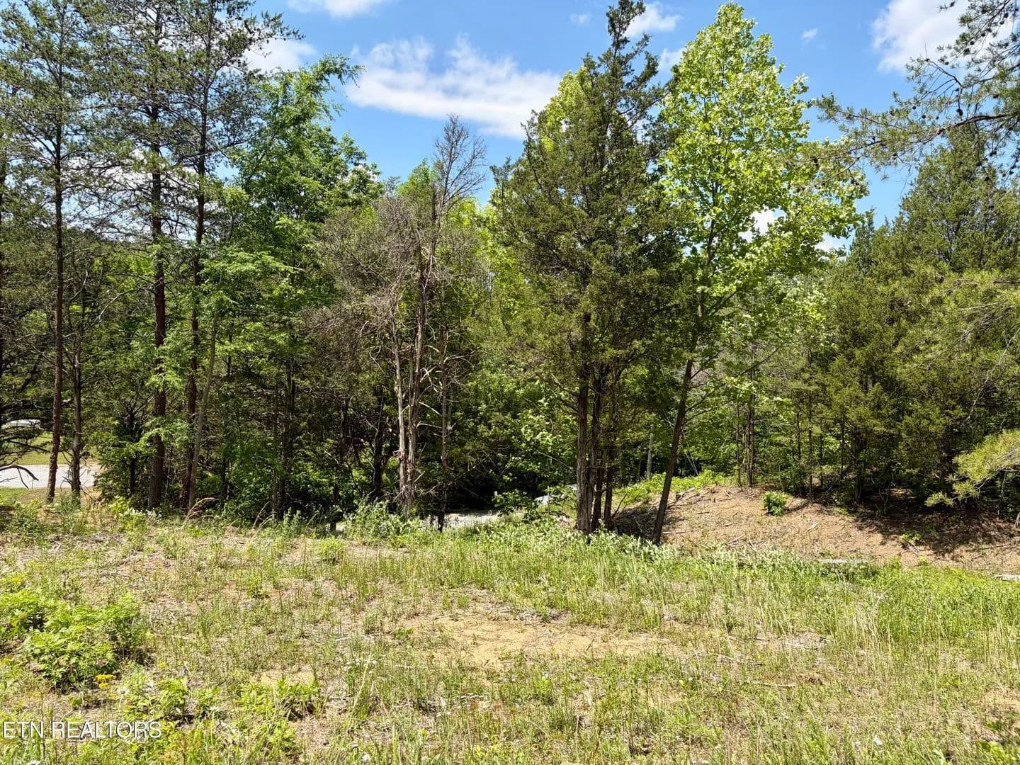0.55 Acres of Land for Sale in Sevierville, TN - Sevierville, Tennessee, 37876