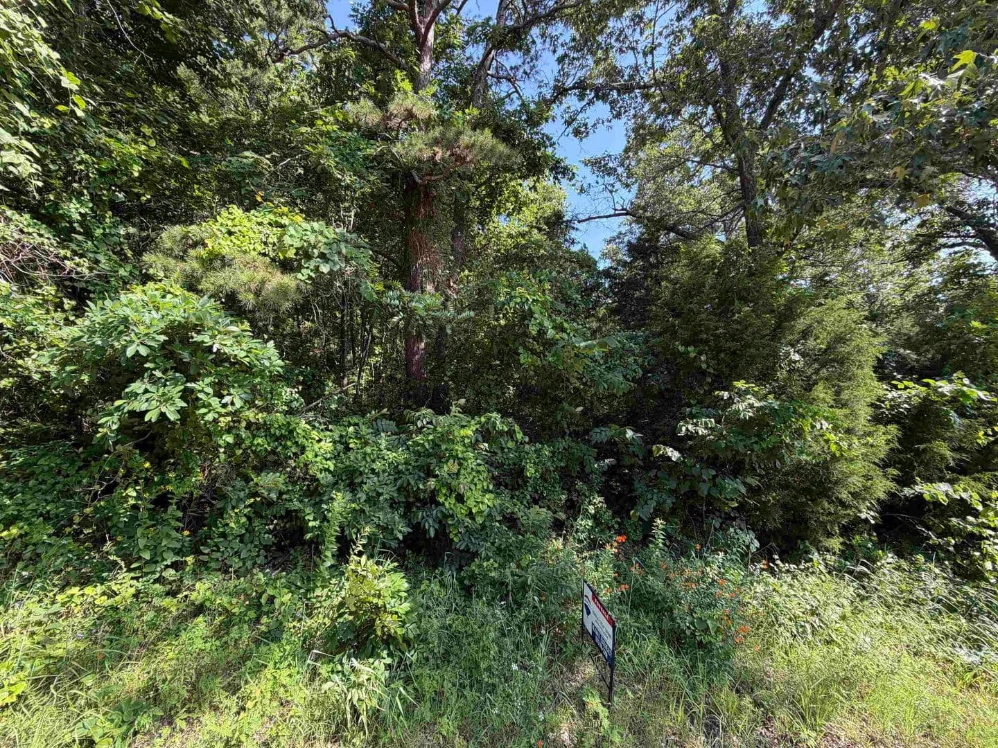 Property from 0 56 Highway - KW - Brockwell, Arkansas, 72157
