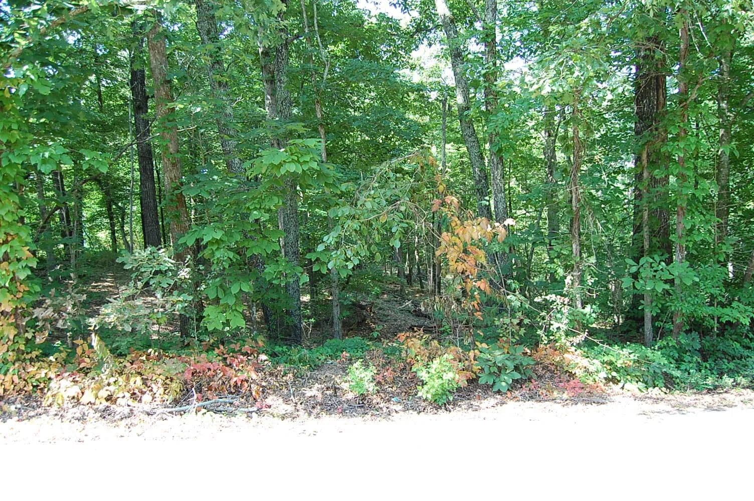Land -Agricultural (Not Zoned) in Dunlap - Dunlap, Tennessee, 37327