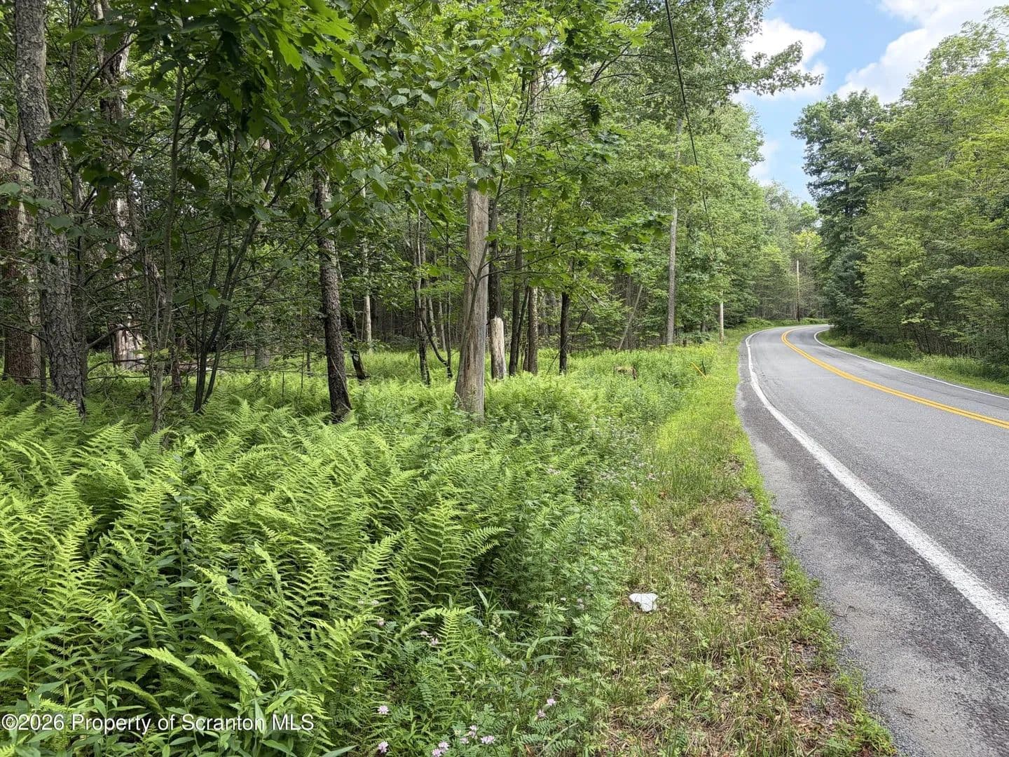 Lots & Land-Other in Covington Twp - Pennsylvania, 18444