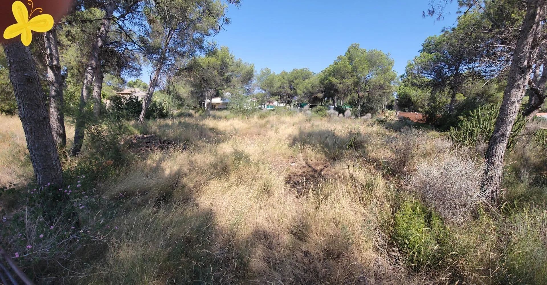 Land for Sale in Olocau, 15 - land for sale