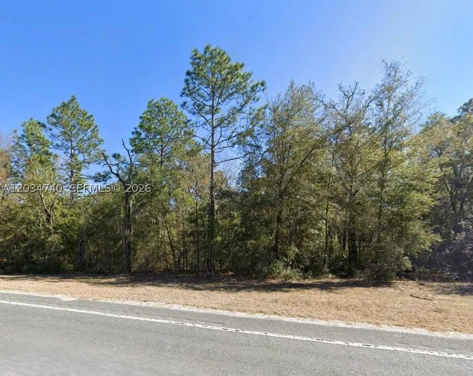 Property from Lot 2 STR 121 - KW - Williston, Florida, 32696