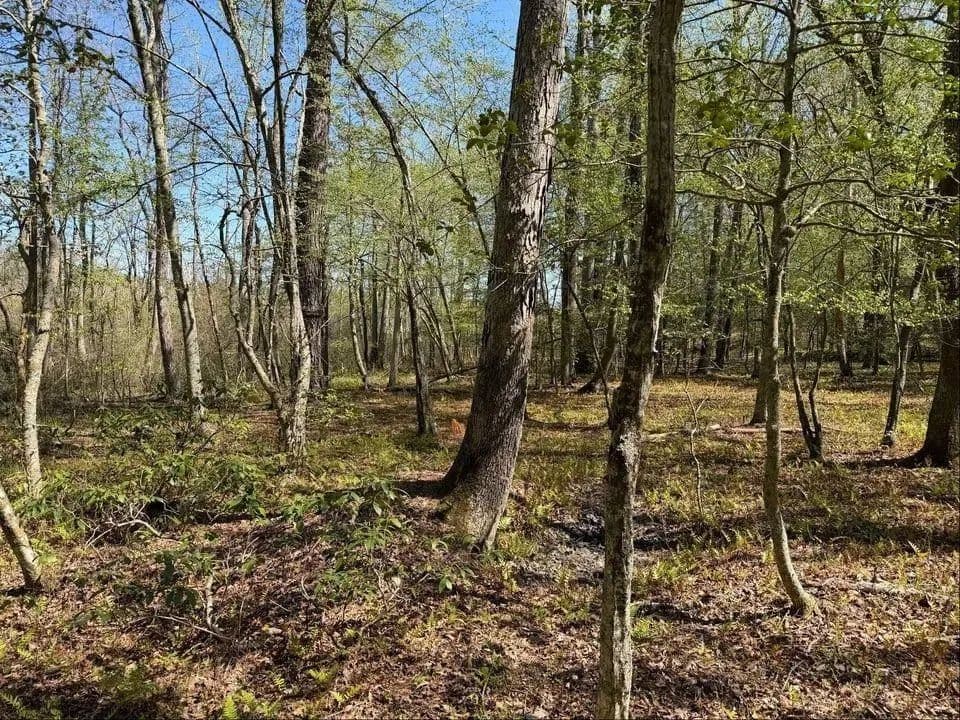 Property from 0 Northumberland 360 Highway - KW - Heathsville, Virginia, 22473