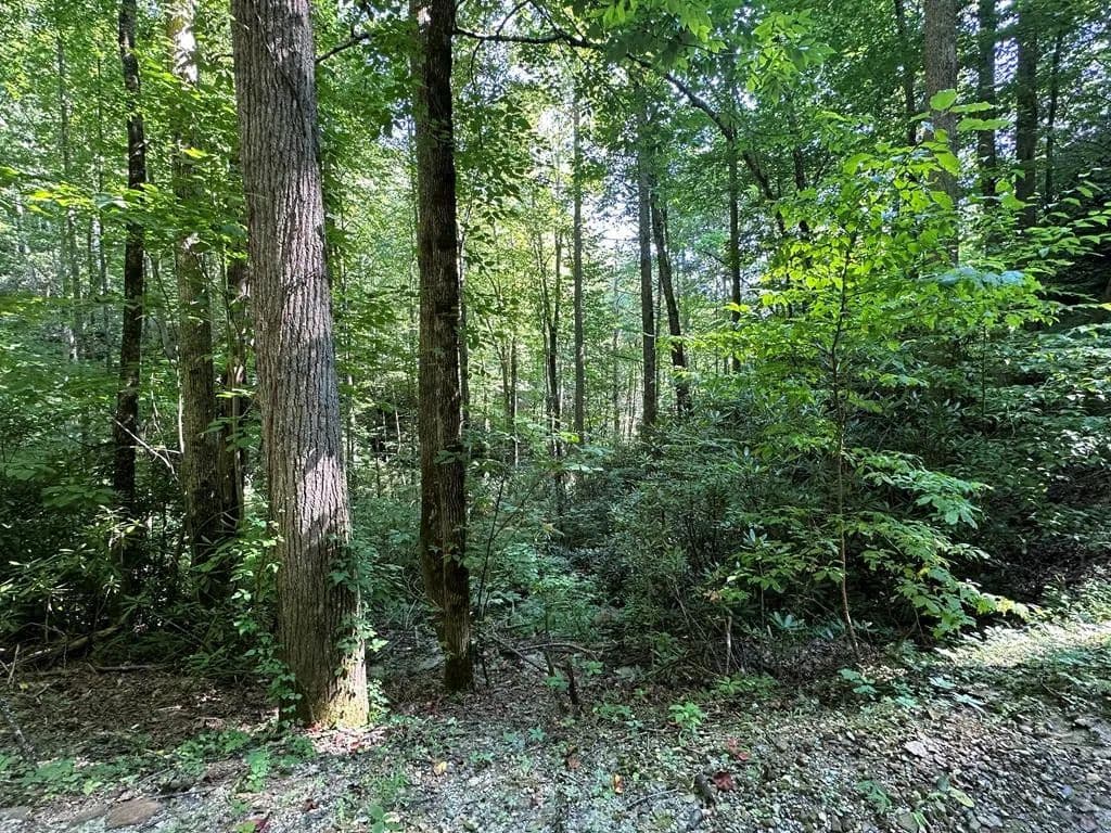 Property from 00 Briggs Cove Road - KW - Robbinsville, North Carolina, 28771