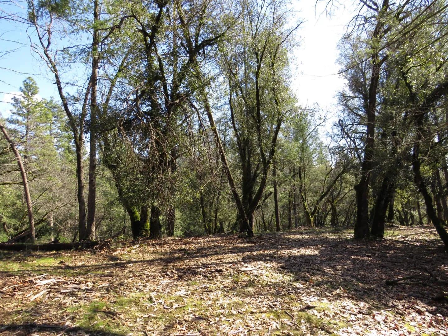 Property from 0 Forest Lake Place - KW - Colfax, California, 95713
