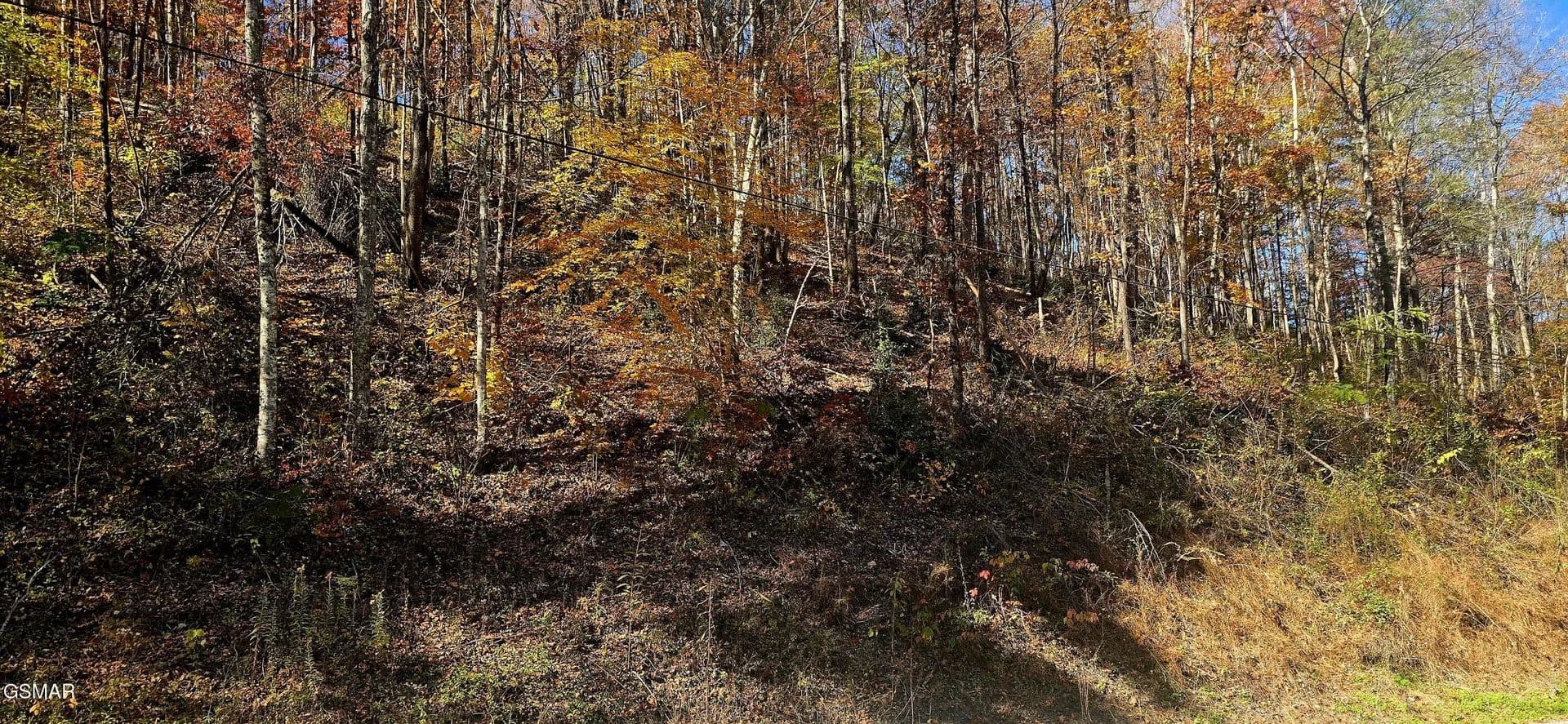 Property from Lot 0008 Emerald Springs Loop - KW - Sevierville, Tennessee, 37862