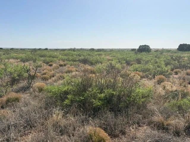 Property from Lot 48 State Road 203 - KW - , New Mexico, 88119
