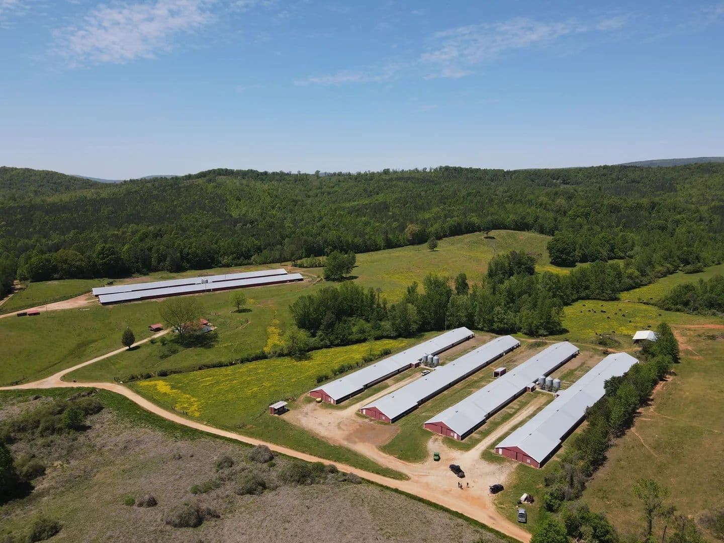 England Broiler & Cattle Farm – Six House Farm in Clay County, AL - land for sale