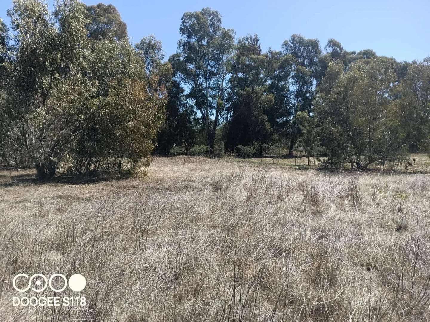 1158 Acres of Land for Sale in Malmesbury, Western Cape - land for sale