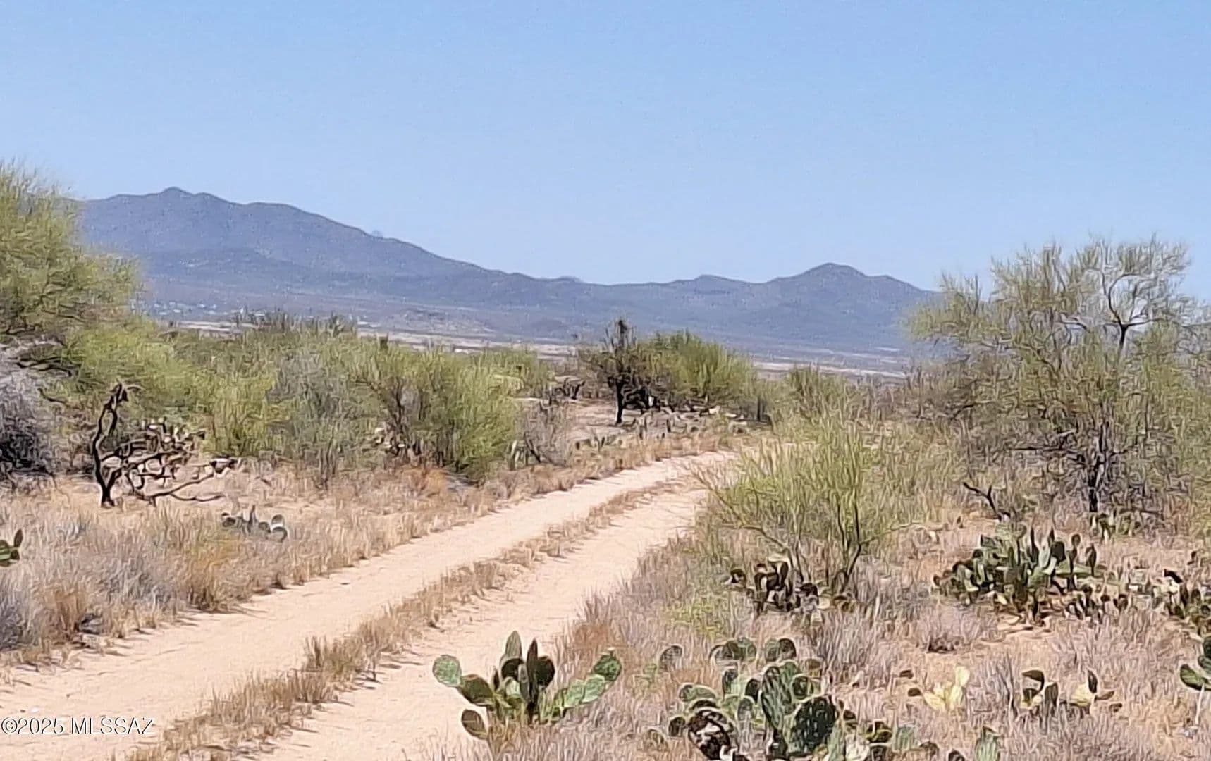Vacant Land in Tucson - land for sale