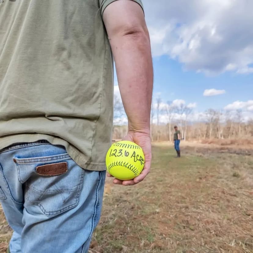 The LayFIELD OF DREAMS